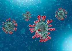 Epidémie de Coronavirus : communiqué du Collège communal
