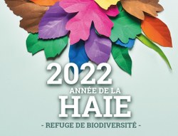 Semaine de l’arbre 2022 : Distribution gratuite d’arbres et arbustes indigènes